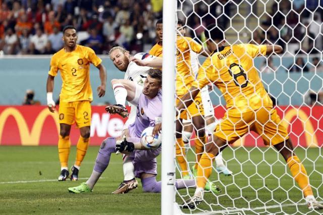 1670098064033057316.jpg 980.jpg